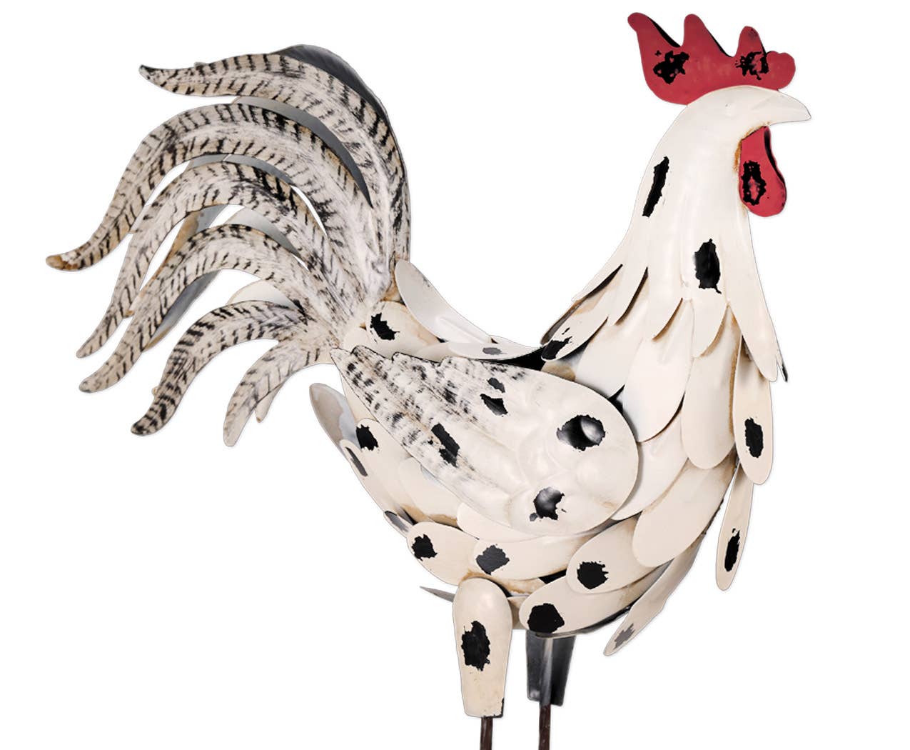 White Rooster 16"