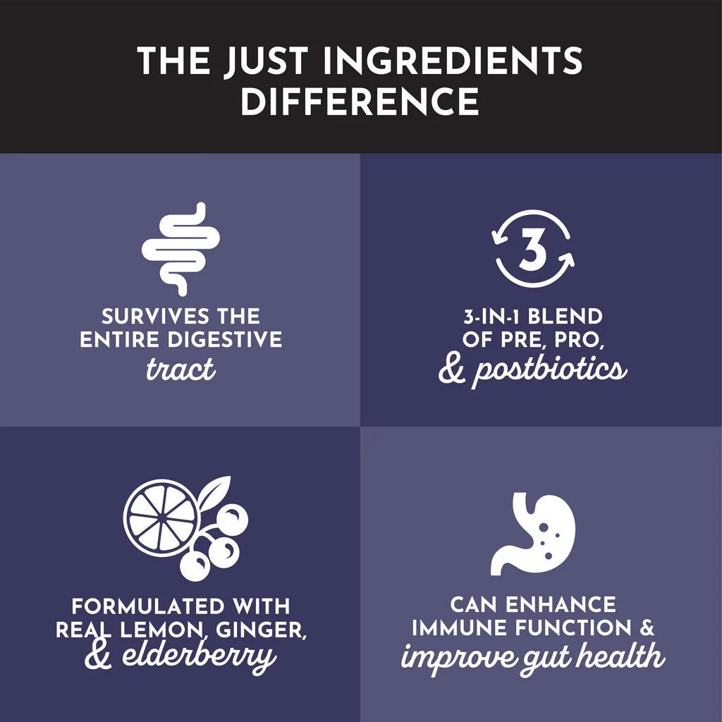 Elderberry Lemonade 3-in-1 Probiotic Complex