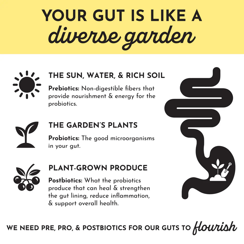Lemon Ginger 3-in-1 Probiotic Complex