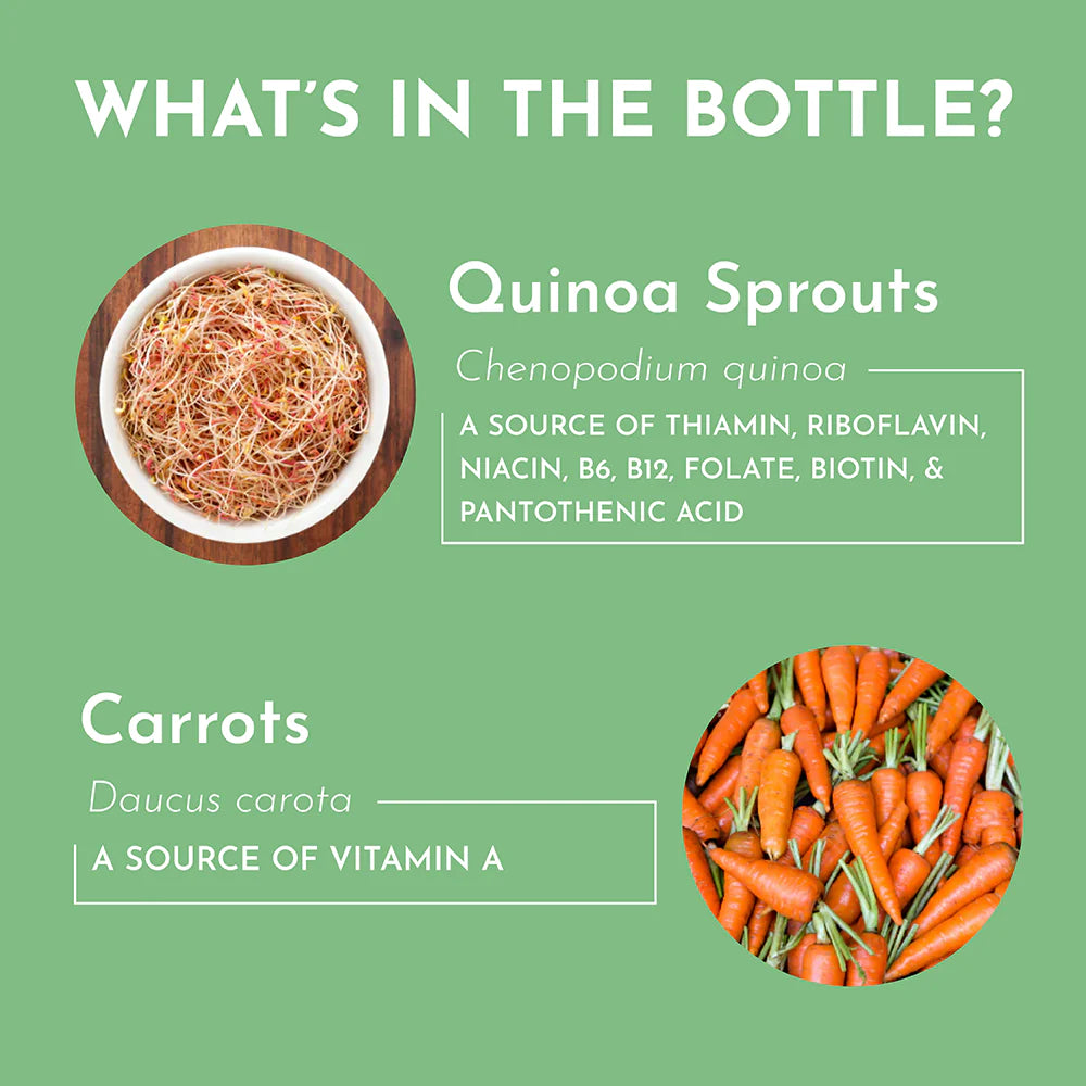 Multivitamin Supplement