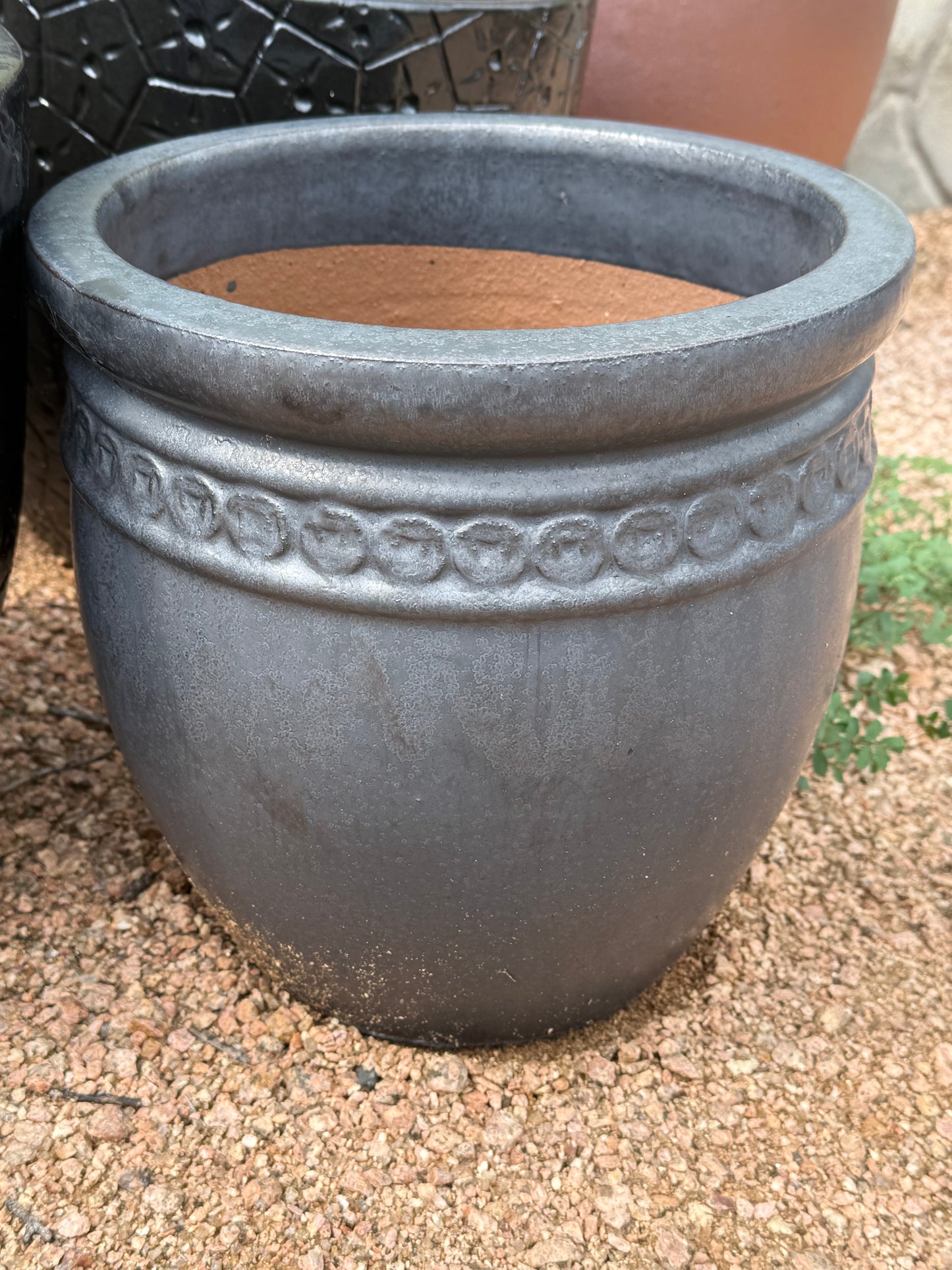 12" Black Coin Pot - Lion