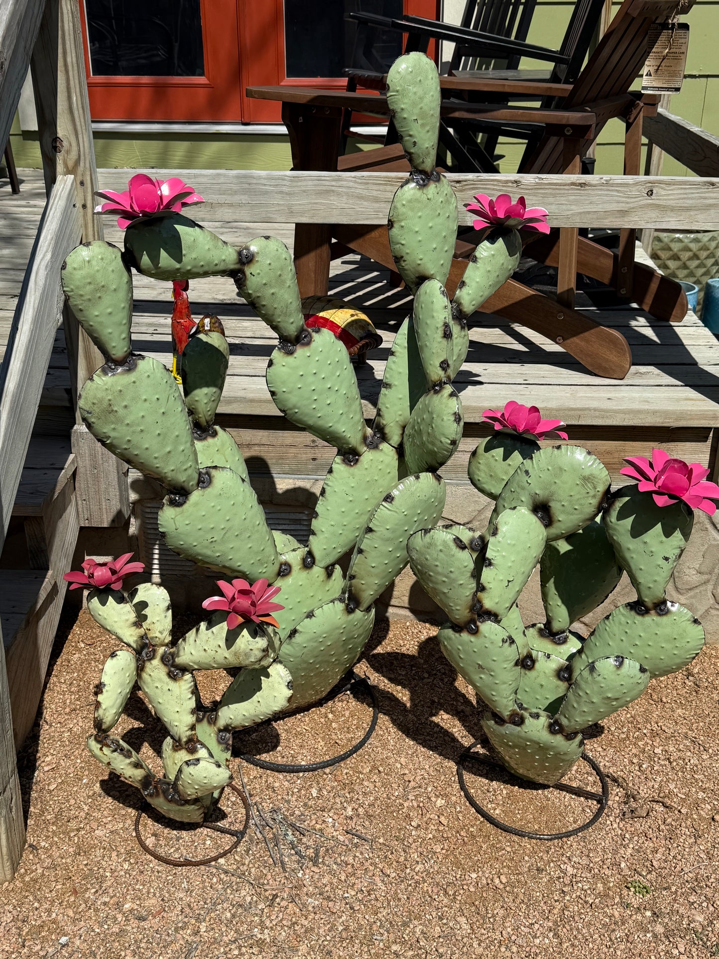 Prickly Pear Cactus w/ Flowers