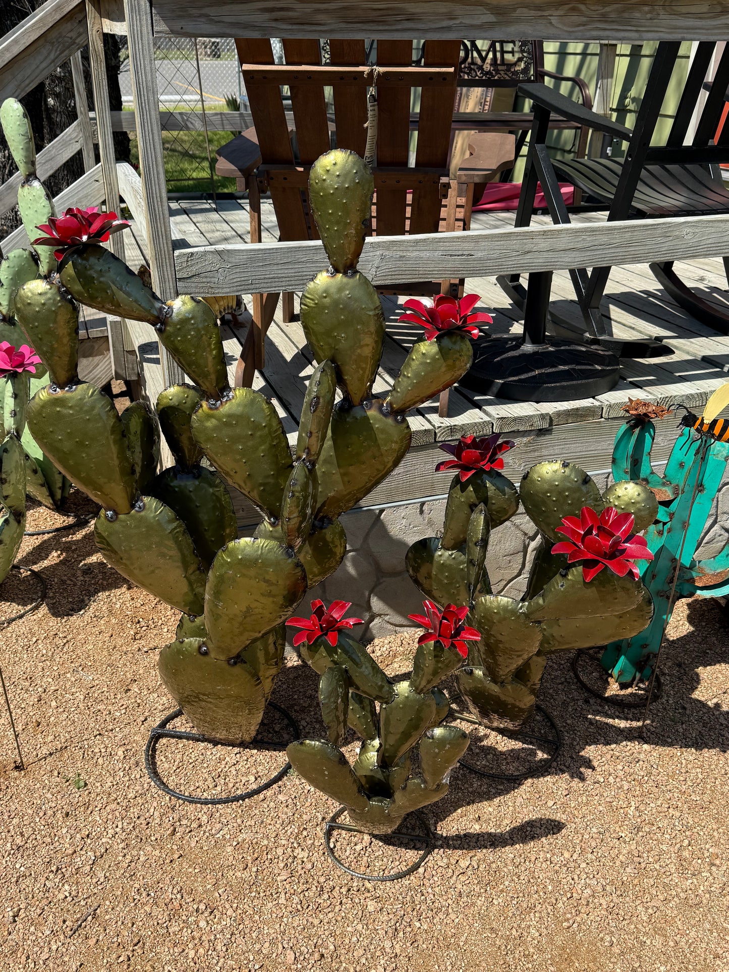 Prickly Pear Cactus w/ Flowers