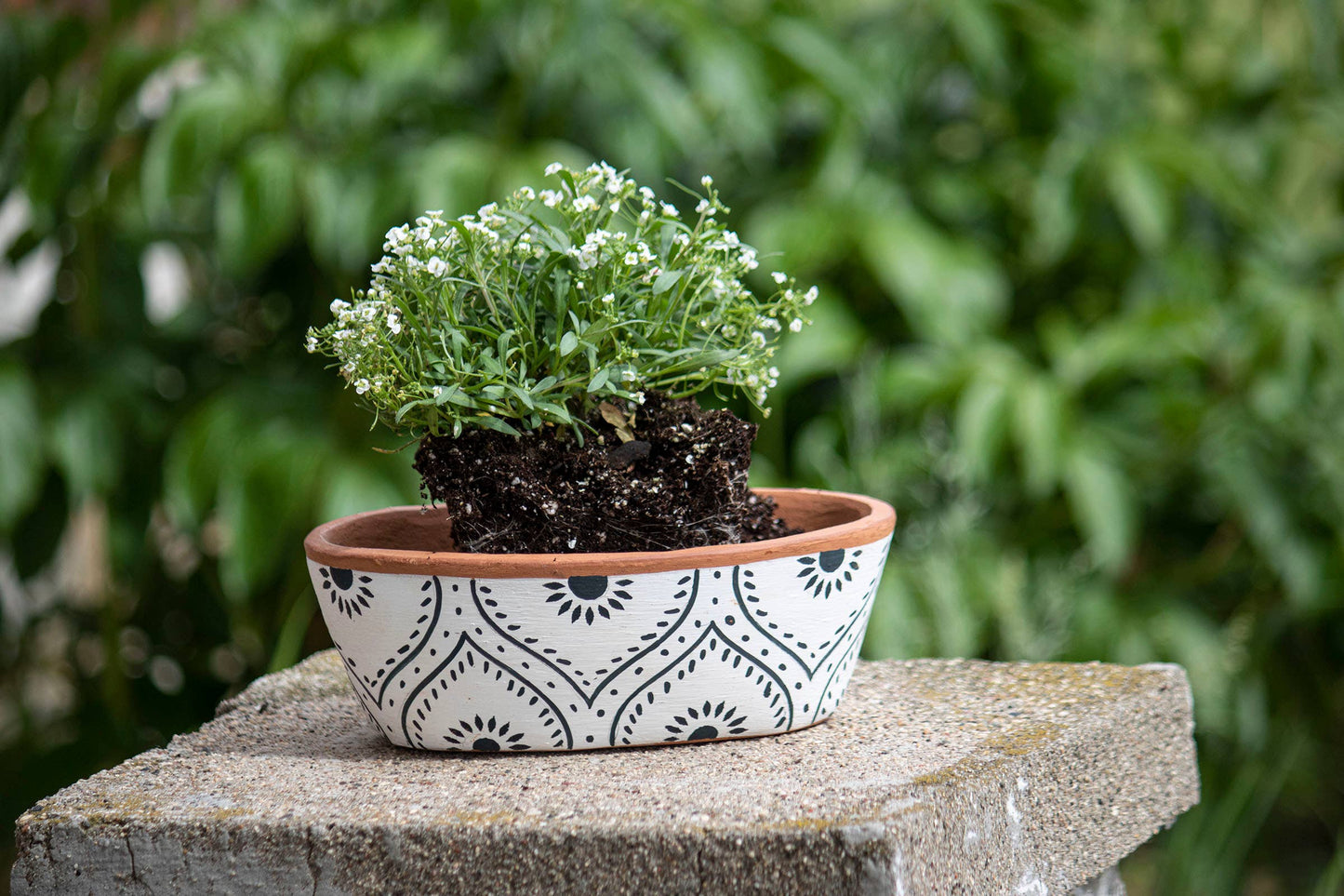 Jenica Oval Terracotta Planter, Hand Painted Floral