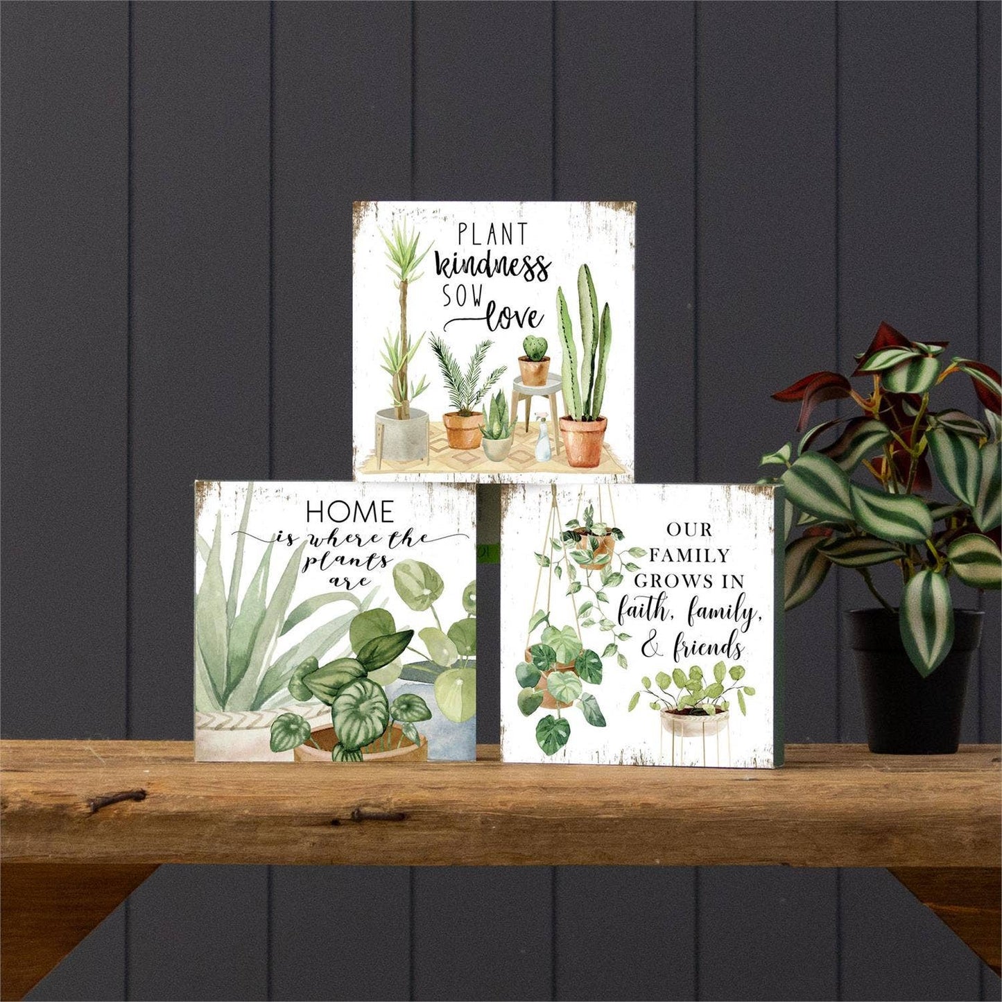 Plant Obsessed Block Signs