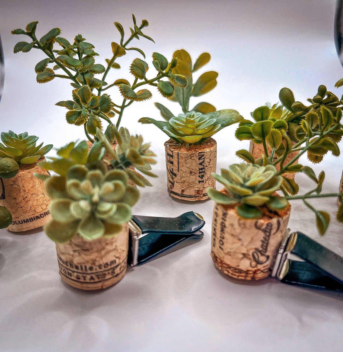 Mini Succulent Vent Clip Diffusers