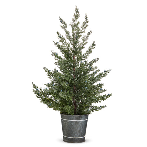 Pine Tree in Galvanized Bucket