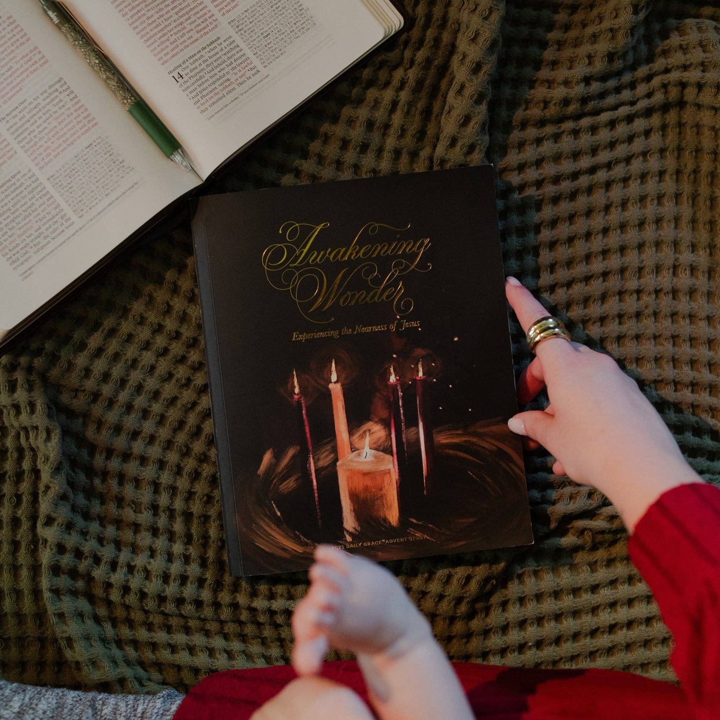 Awakening Wonder 2025 Daily Grace Advent Study