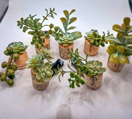 Mini Succulent Vent Clip Diffusers