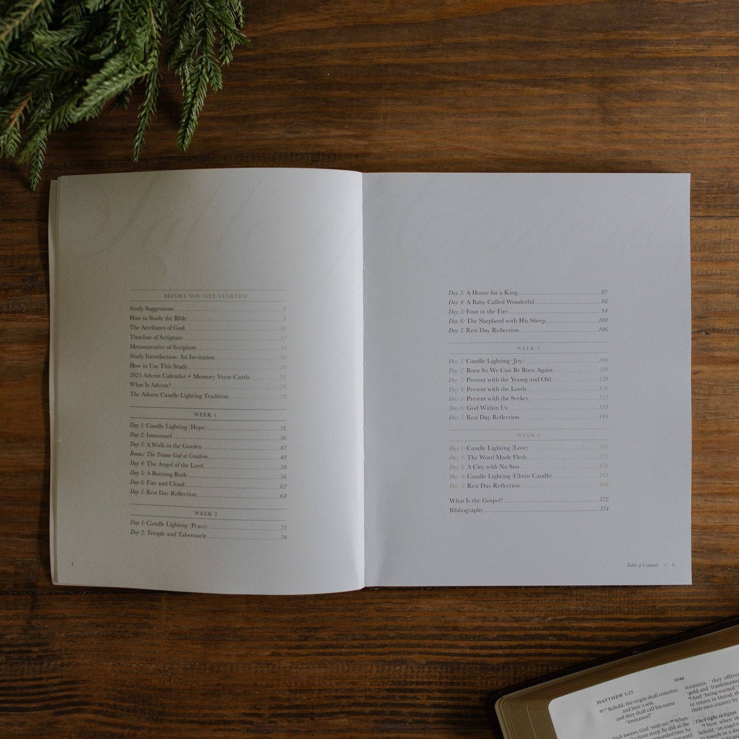 Awakening Wonder 2025 Daily Grace Advent Study