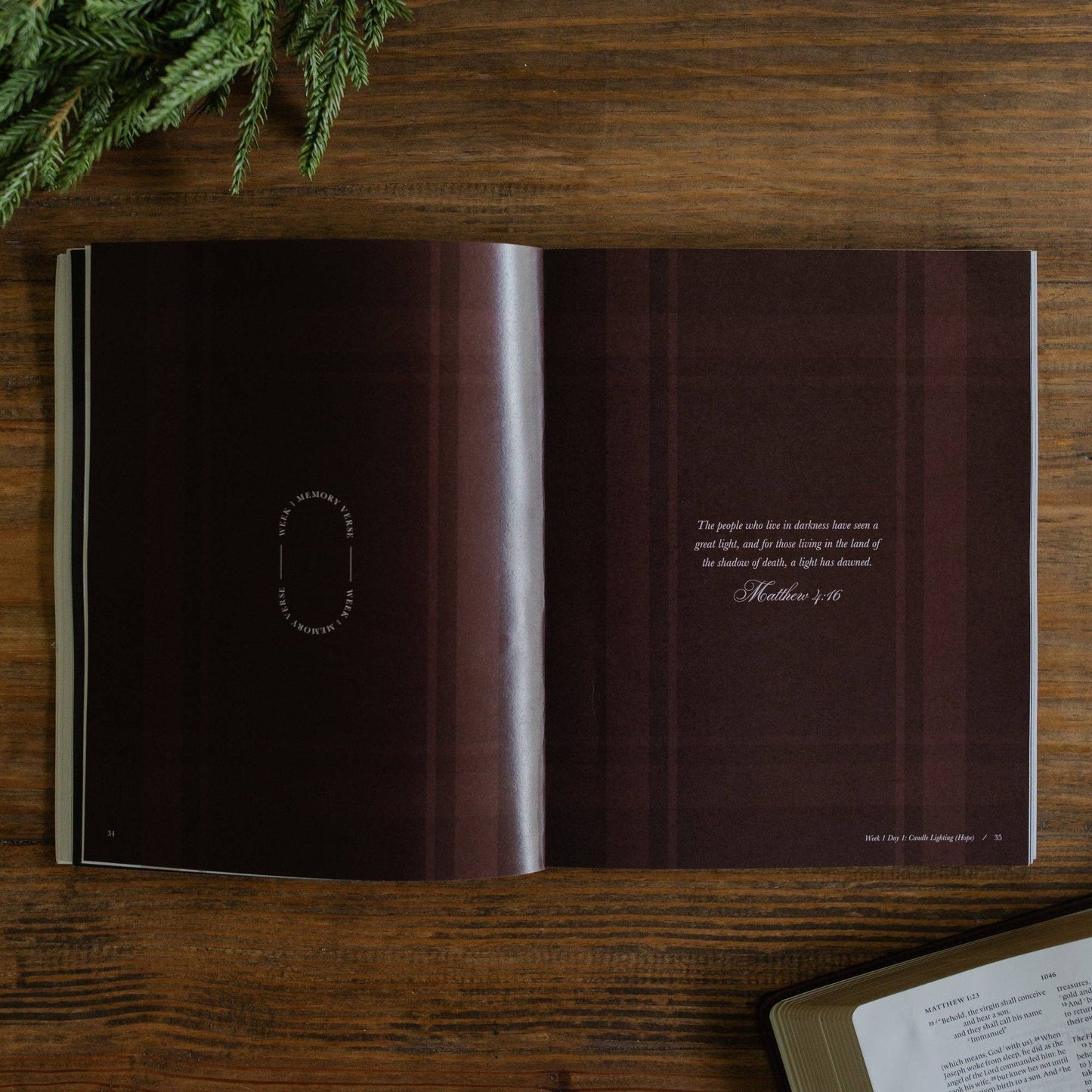 Awakening Wonder 2025 Daily Grace Advent Study