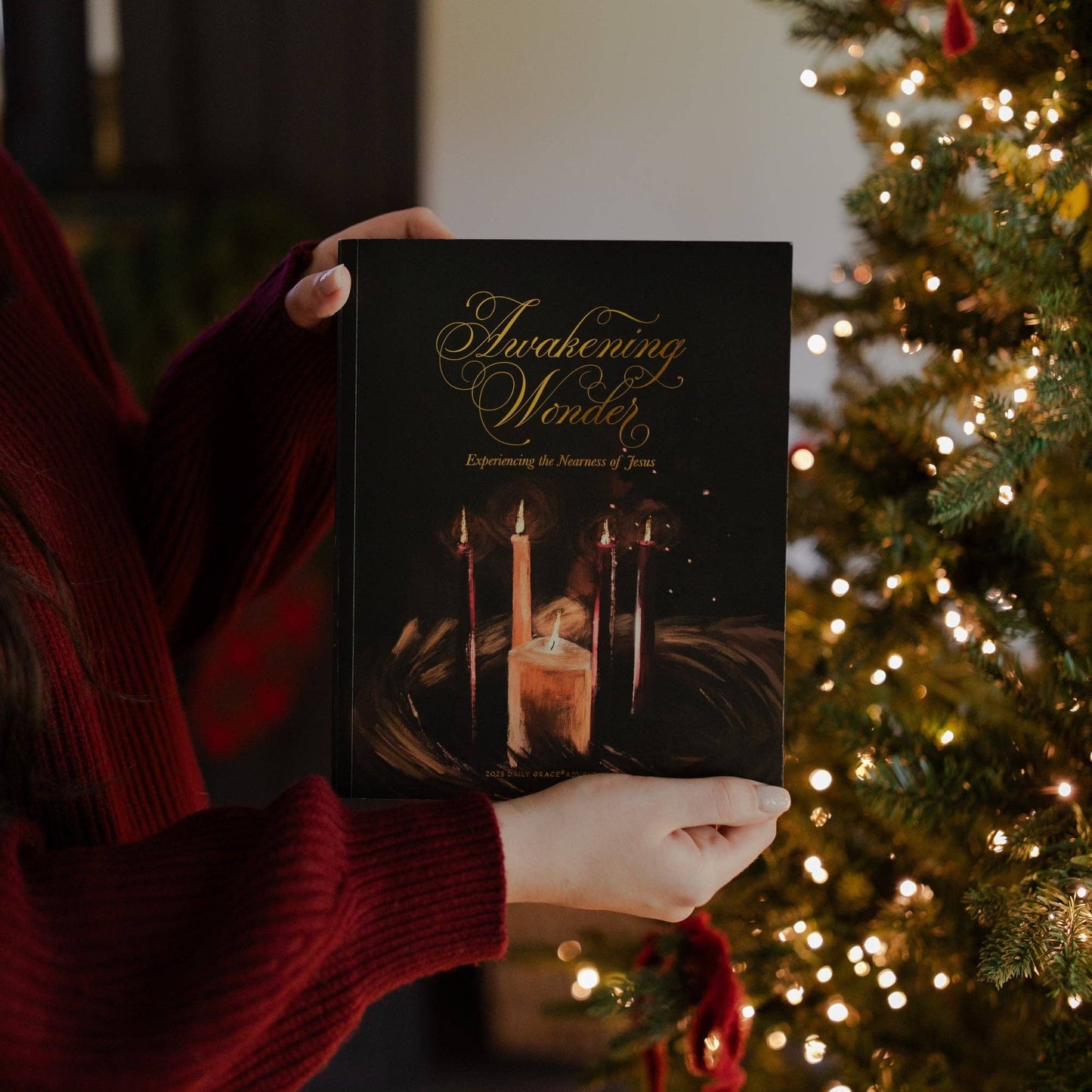 Awakening Wonder 2025 Daily Grace Advent Study