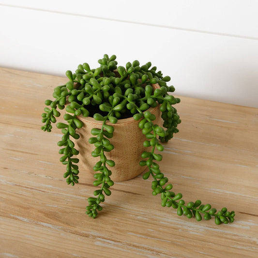 Faux Potted String Of Pearls