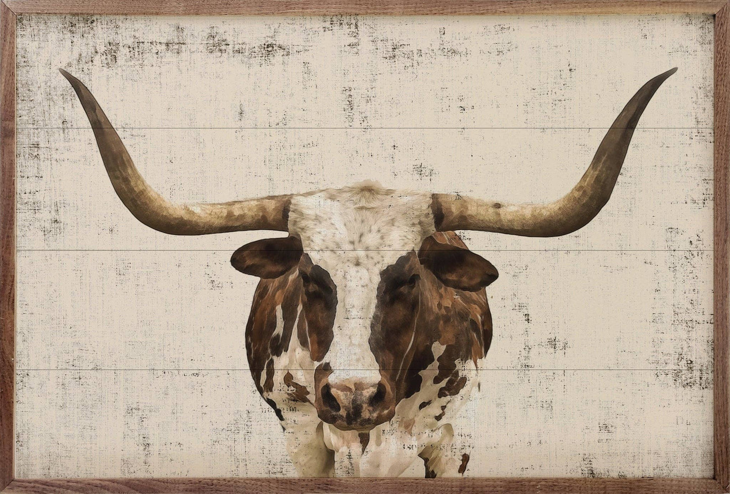 Longhorn Whitewash