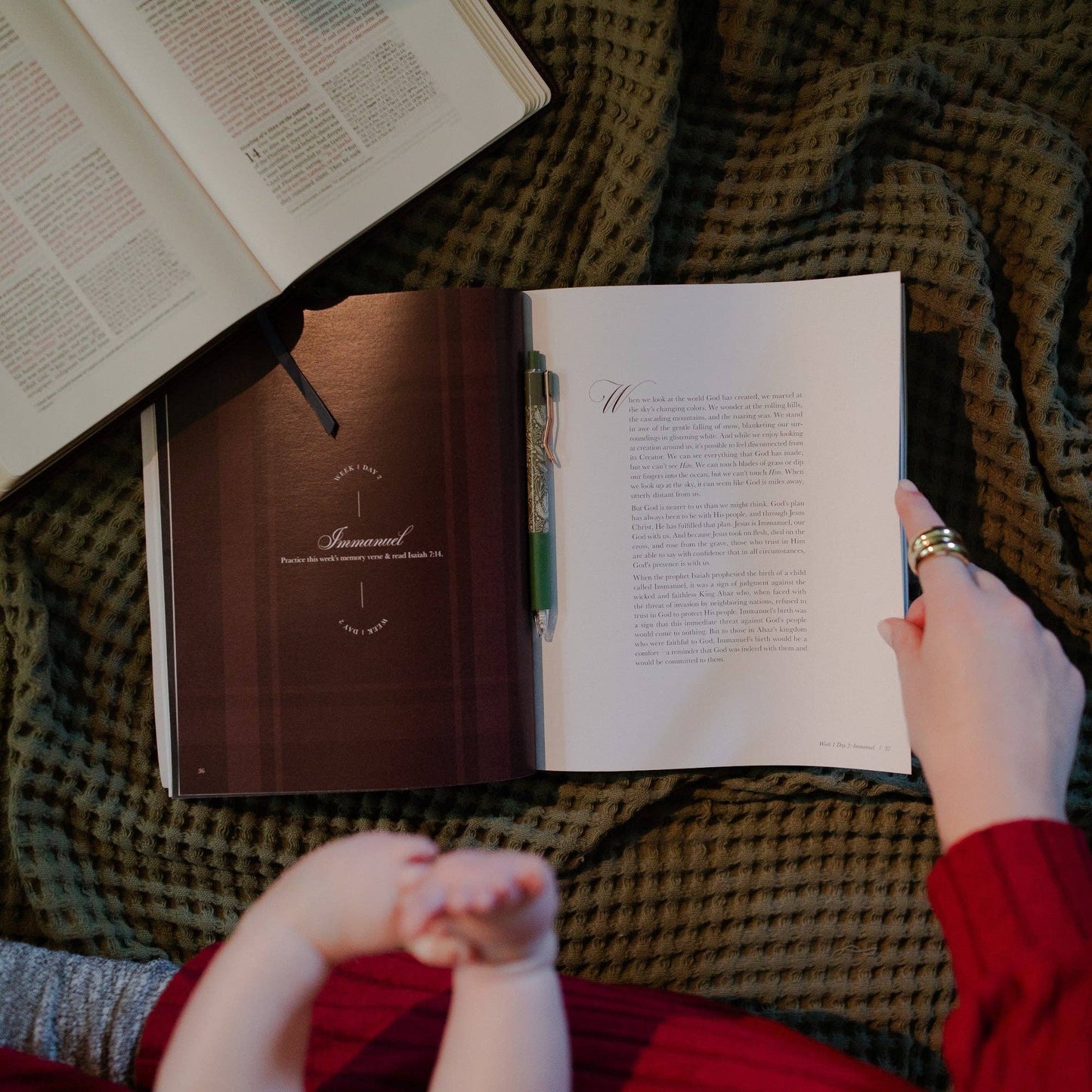 Awakening Wonder 2025 Daily Grace Advent Study