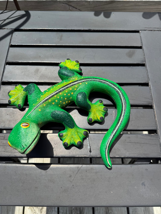 Colorful Salamander Garden Animal