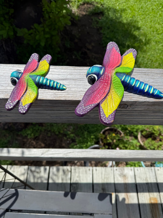 Colorful Dragon Fly Garden Animal