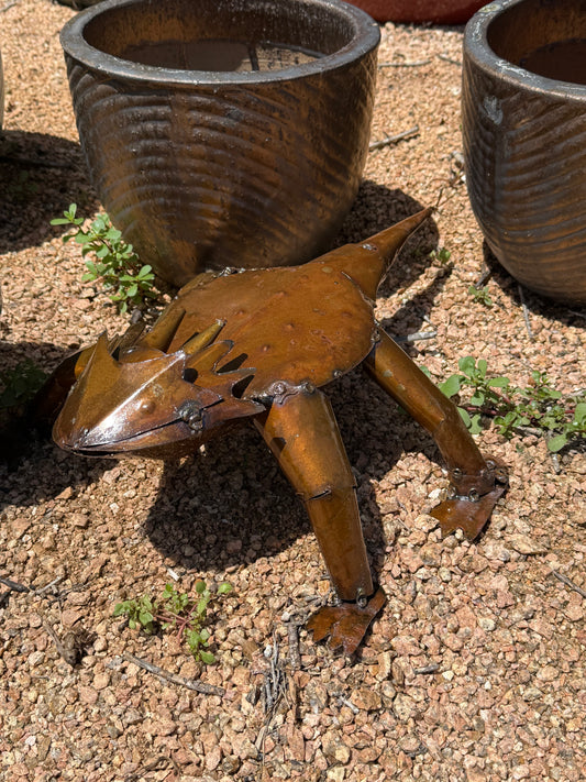 Rustic Horned Toad