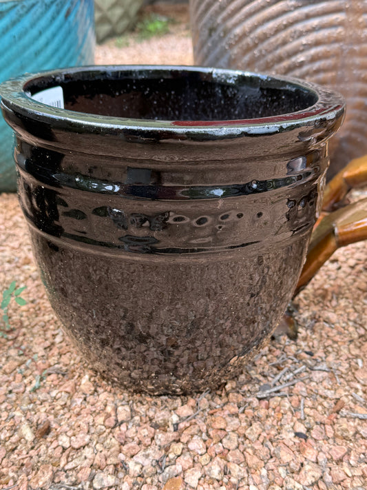 9" Lion Abloom Planter