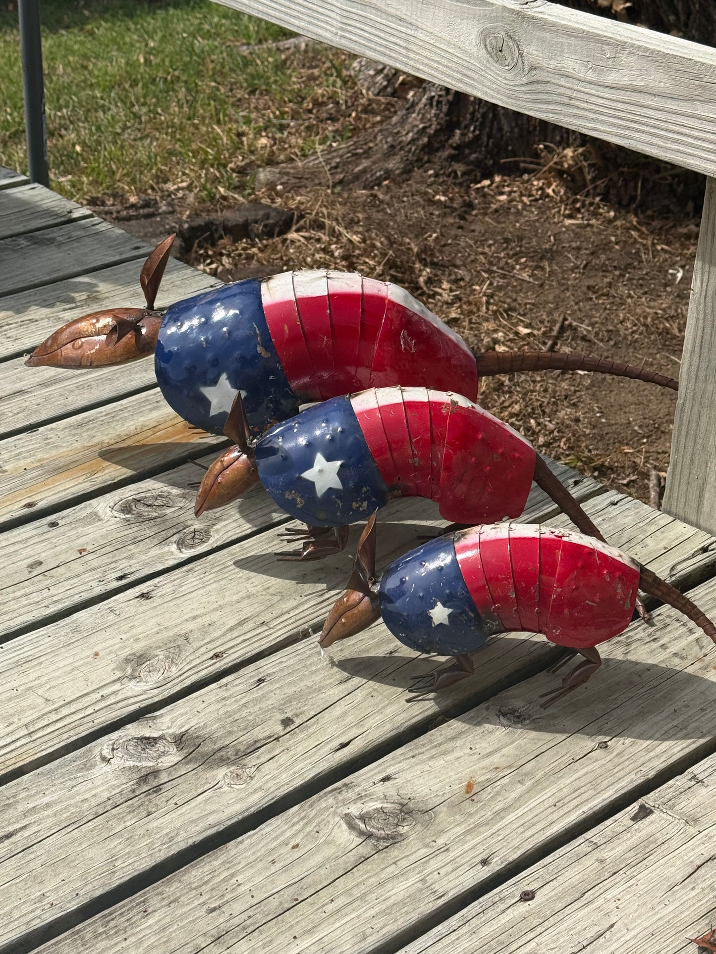 Metal Armadillo - Lone Star