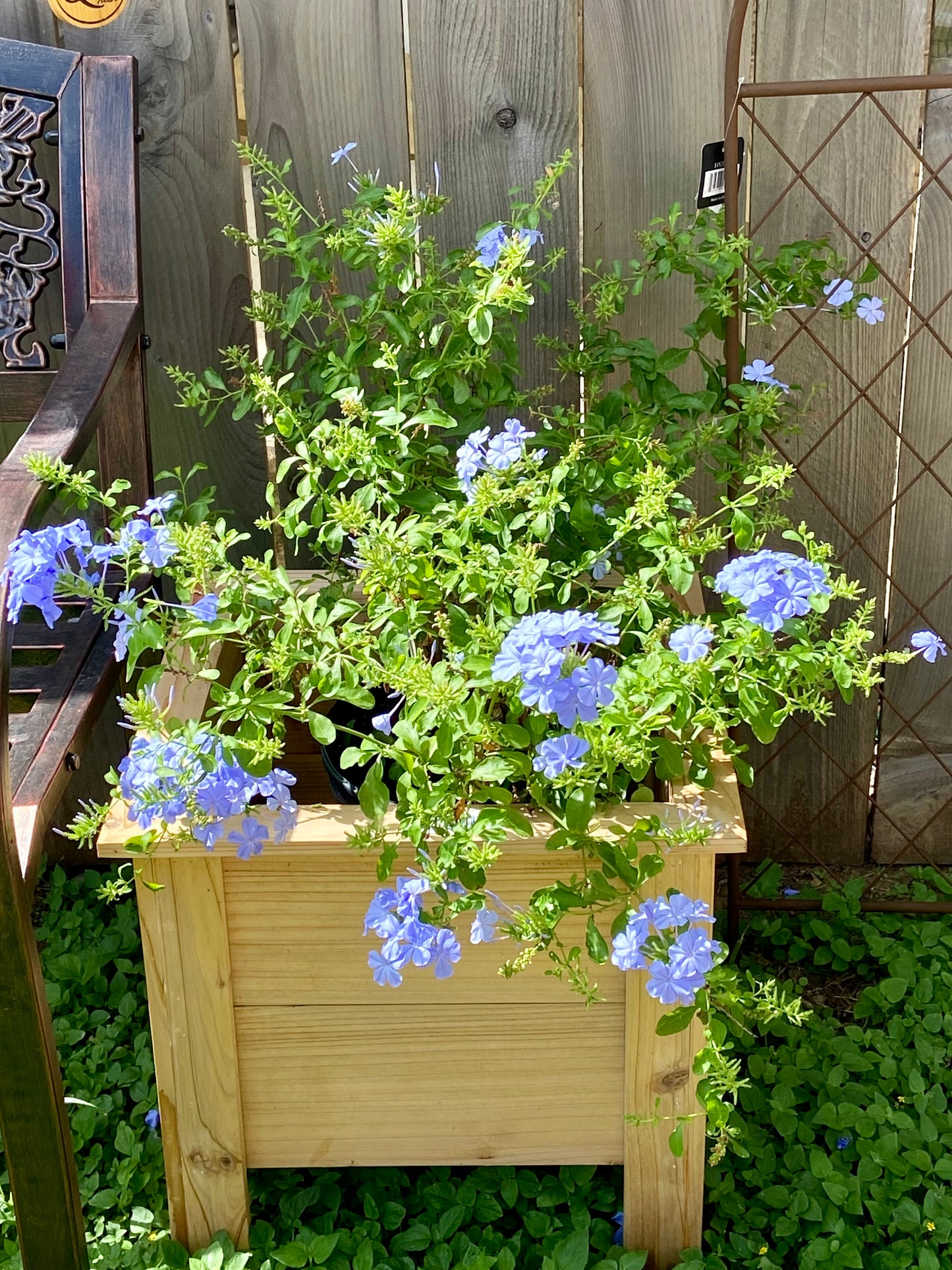 Small Cedar Planter Box