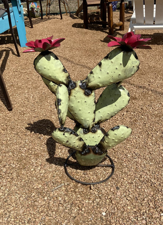 Small Prickly Pear Cactus w/ Flowers