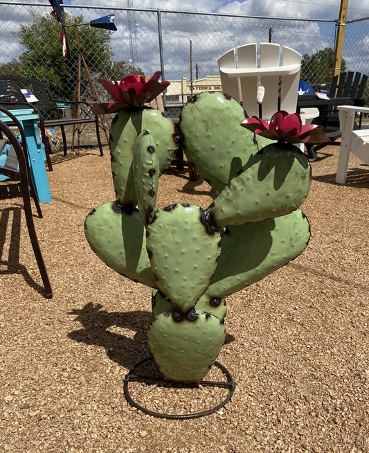 Medium Prickly Pear Cactus w/ Flowers