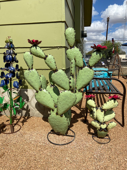 Large Prickly Pear Cactus w/ Flowers