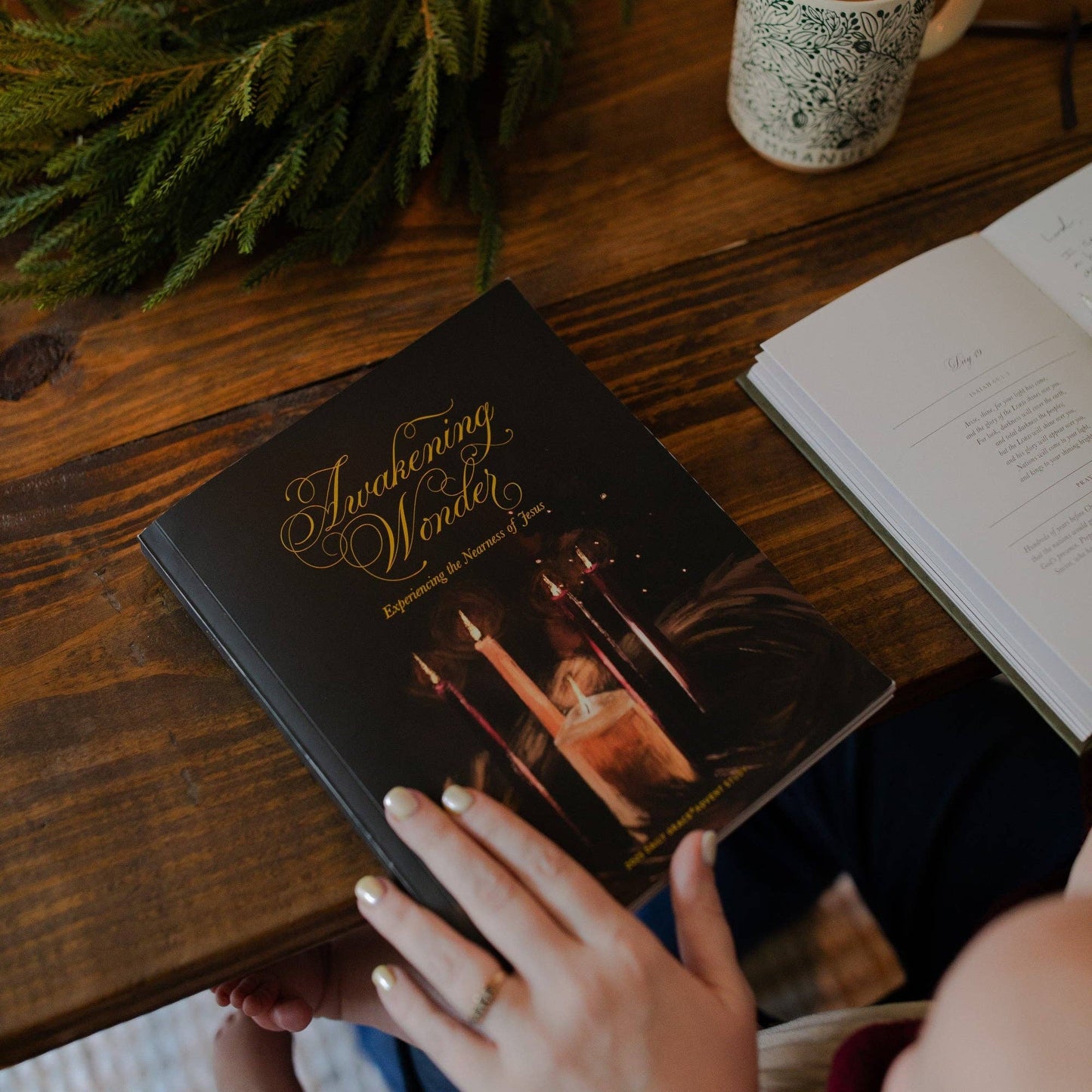 Awakening Wonder 2025 Daily Grace Advent Study