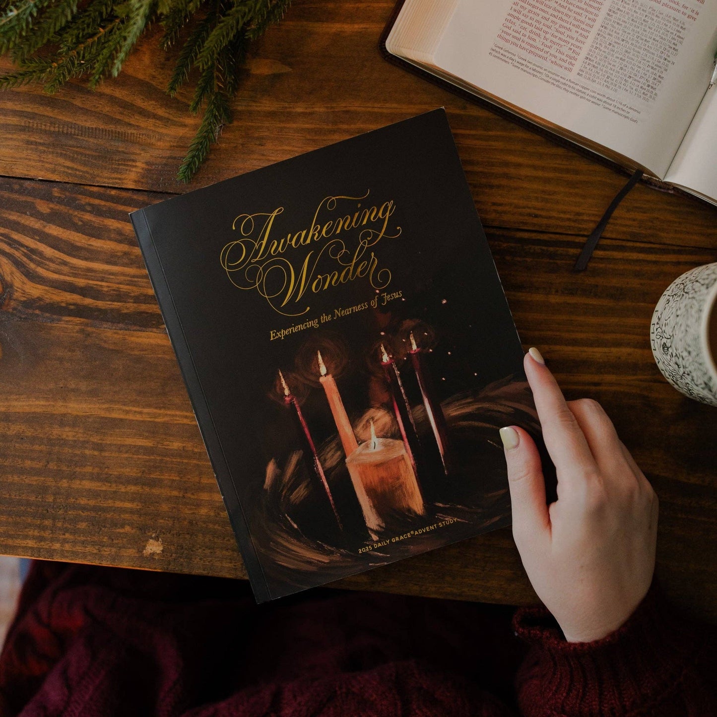 Awakening Wonder 2025 Daily Grace Advent Study