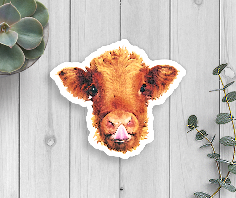 Highland Calf Vinyl Sticker