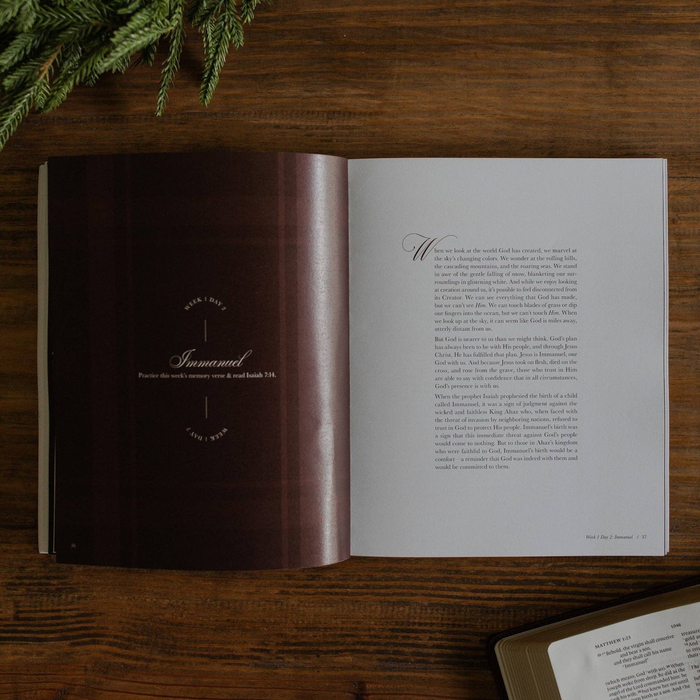 Awakening Wonder 2025 Daily Grace Advent Study