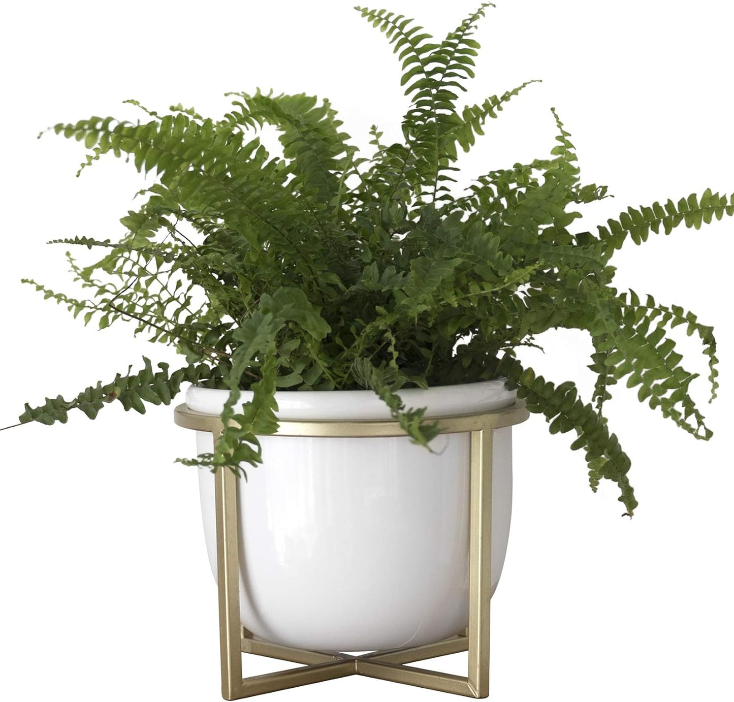 Plant Pot with Gold Metal Stand - 6.7 Inch White, Indoor