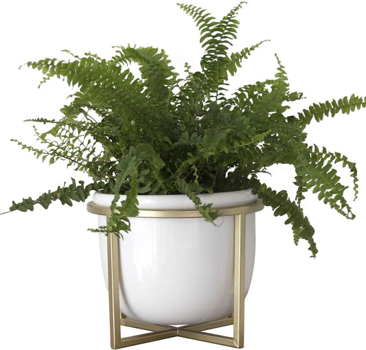 Plant Pot with Gold Metal Stand - 6.7 Inch White, Indoor